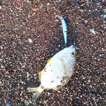 Hunthouse zvejas foreļu lure jerkbait lure mākslinieks 2019 jūras zvejas black bass platgalve grūti pievilināt 70mm 7.g 80mm 8.5 g raut darbība