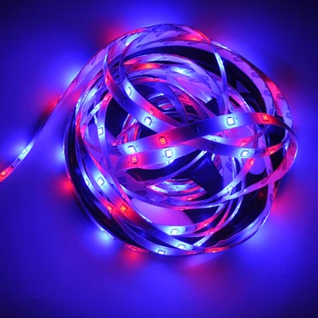 2835 LED Gaismas joslas Bluetooth Kontroles Nakts Apgaismojums, Ziemassvētku Puse Mūzika KTY Telpu Dekorēšana RGB Lentes Lampas String 5M