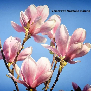 23PCS Puķu Ziedlapiņu Silikona Veiner par Phalaenopsis,Hydrangea,Rozes,Magnolijas,Krizantēmas, Gardēnija,Lilija Cukura Weding MoldC268